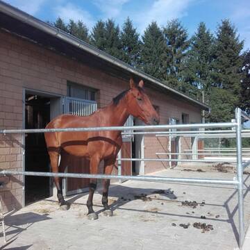 Bild: Stall in  Bissendorf