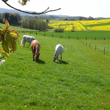 Bild: Stall in  Bissendorf