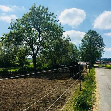 Bild: Stall in  Wertach