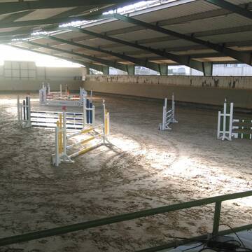 Blick in die Reithalle