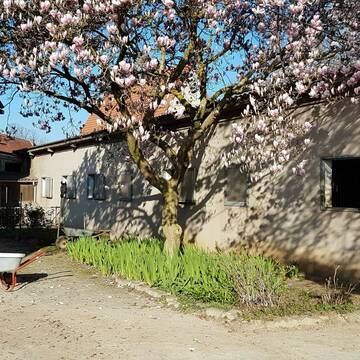 Bild: Stall in  Wieblingen