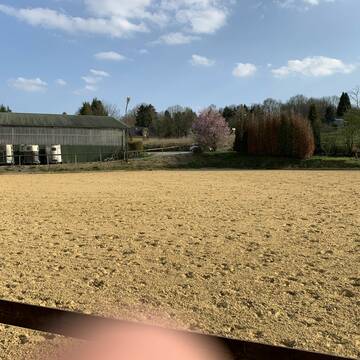 Bild: Stall in  Heiligenhaus