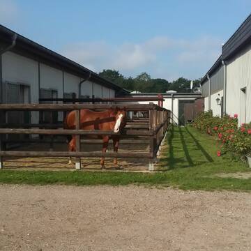 Bild: Stall in  Todenbüttel