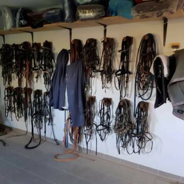 Bild: Stall in  Pommertsweiler