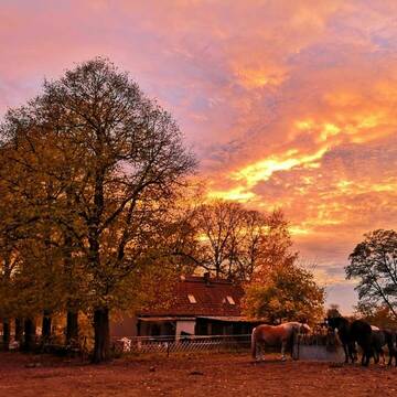 Bild: Stall in  Nassenheide
