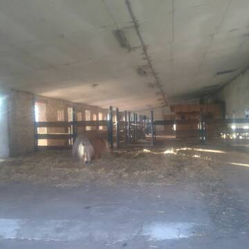 Bild: Stall in  Nassenheide