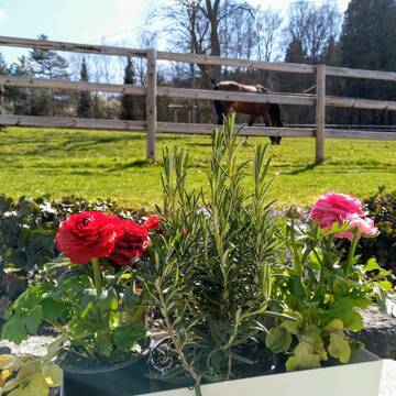 Bild: Stall in  Gemünden