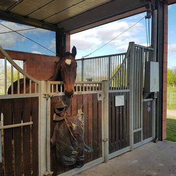 Bild: Stall in  Schleswig