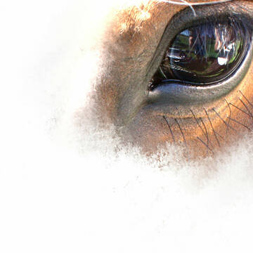 Bild: Service in  Viersen