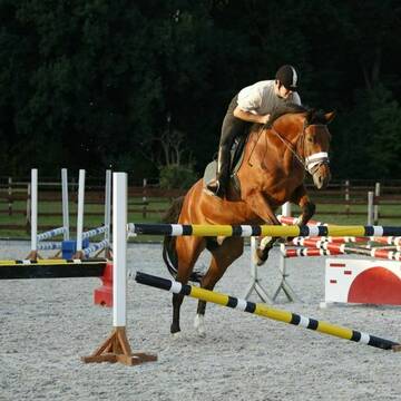 Bild: Stall in  Hellerhof