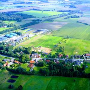 Bild: Weide in  Hankensbüttel