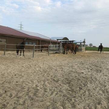 Bild: Stall in  Ludwigsburg