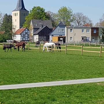 Bild: Stall in  Schwefe