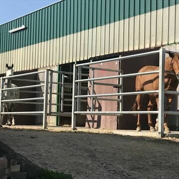 Bild: Stall in  Bexbach