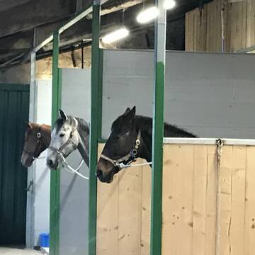 Bild: Stall in  Bexbach