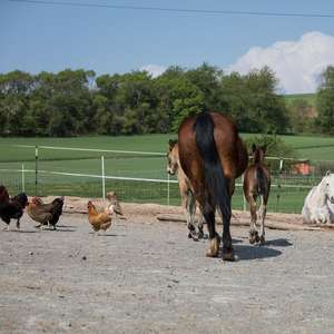 Sandliegefläche, hinterer Auslaufbereich
