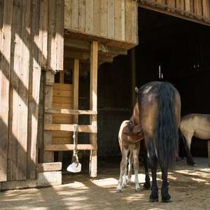 Eingang zum Fressbereich