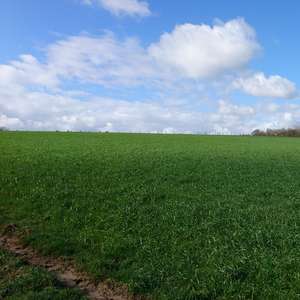 Bild: Stall in  Schuir