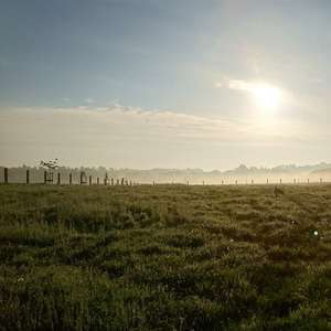 Bild: Stall in  Schuir