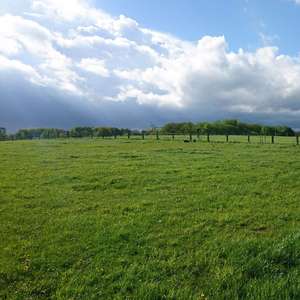 Bild: Stall in  Schuir