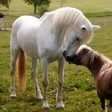Bild: Stall in  Sinntal