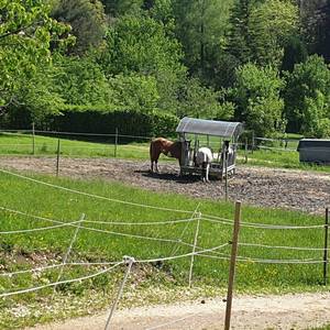 Frühstück an der Raufe