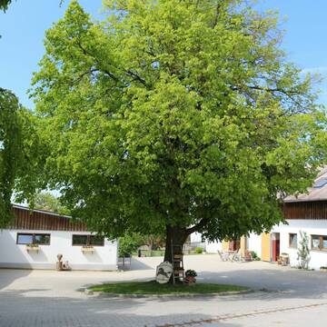 Bild: Stall in  Moorenweis