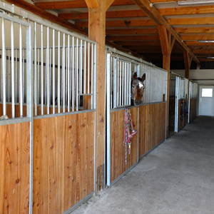 Bild: Stall in  Sehlen