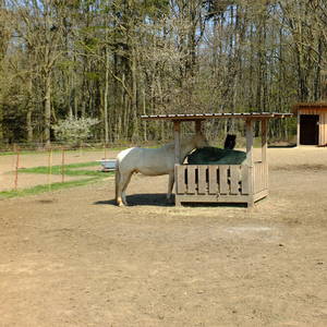 Bild: Stall in  Sehlen