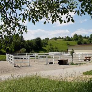 Bild: Stall in  Rheinfelden (Baden)
