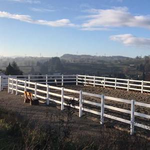 Bild: Stall in  Rheinfelden (Baden)