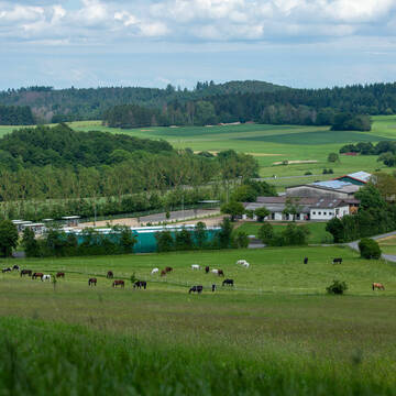 Bild: Stall in  Sachsenberg