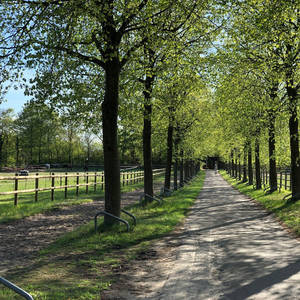 Bild: Stall in  Boostedt