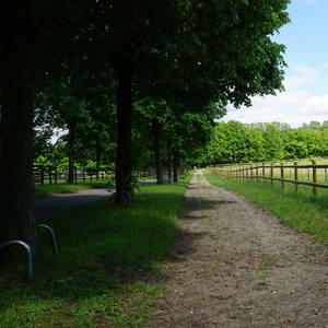 Bild: Stall in  Boostedt