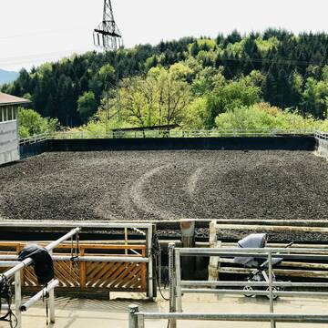 Bild: Stall in  Rheinfelden (Baden)
