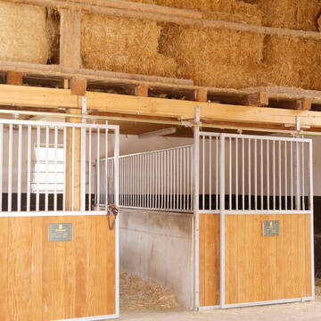 Bild: Stall in  Dießen am Ammersee