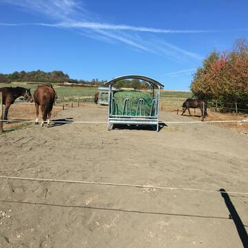 Bild: Stall in  Oberzissen