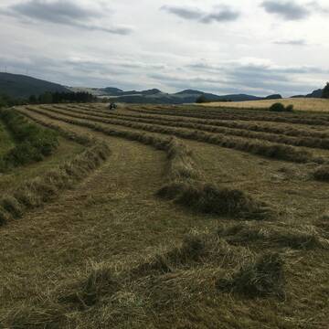 Bild: Stall in  Oberzissen