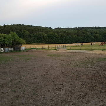 Bild: Stall in  Gemmenich