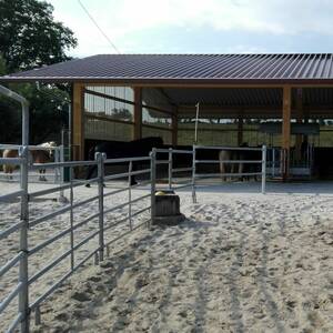 Aktivstall Wallche Liegehalle