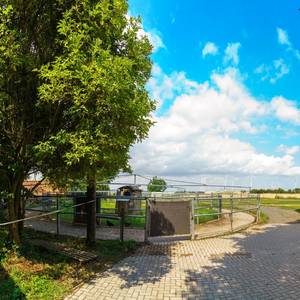 Longierhalle und Führanlage