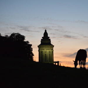 Bild: Stall in  Eisenach