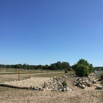 Trail Kiesbett/Steine