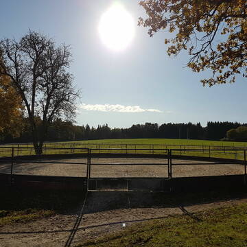 Grosser Longierzirkel