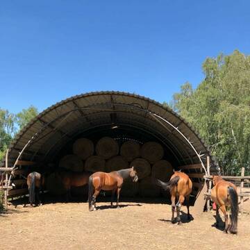 Bild: Stall in  Klosterfelde