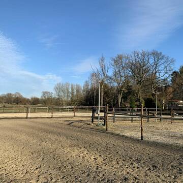 Rundweg zwischen Longierzirkel und Reitplatz
