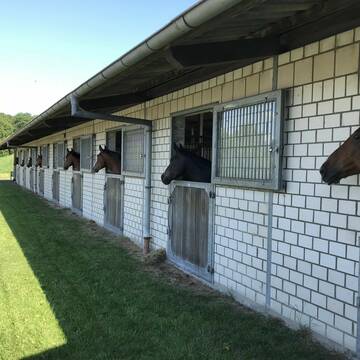Bild: Stall in  Steinfurt