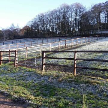 Bild: Stall in  Hattingen
