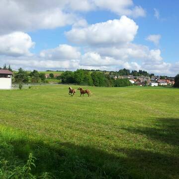 Bild: Stall in  Ibind