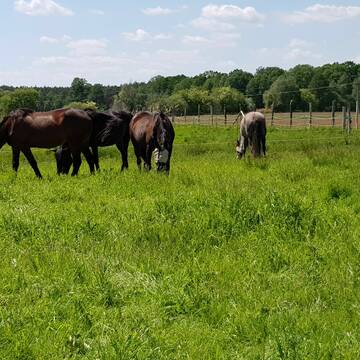 Bild: Stall in  Sperenberg